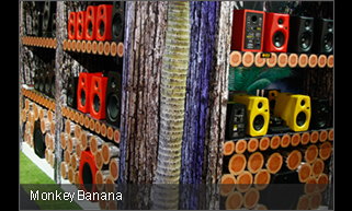 MonkeyBanana