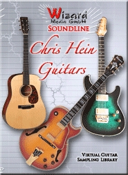 Chris Hein Guitars